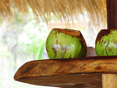 Hotel Casa Viva Troncones Extérieur photo